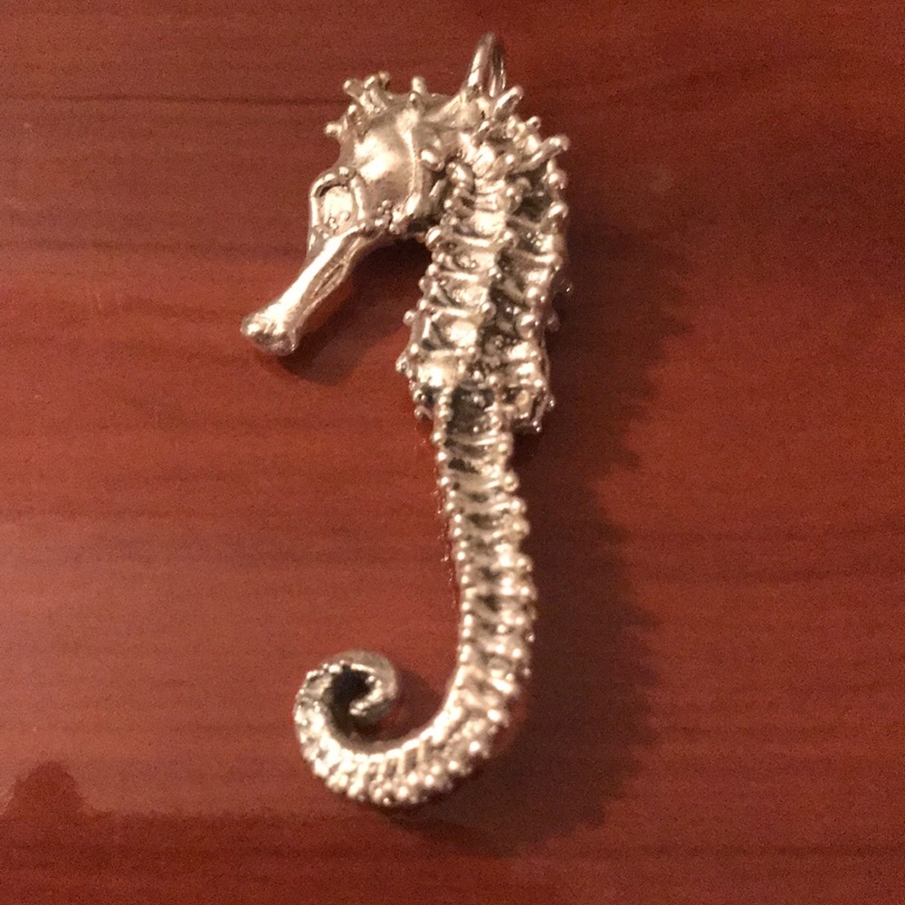 Israel silver pendant statement piece.